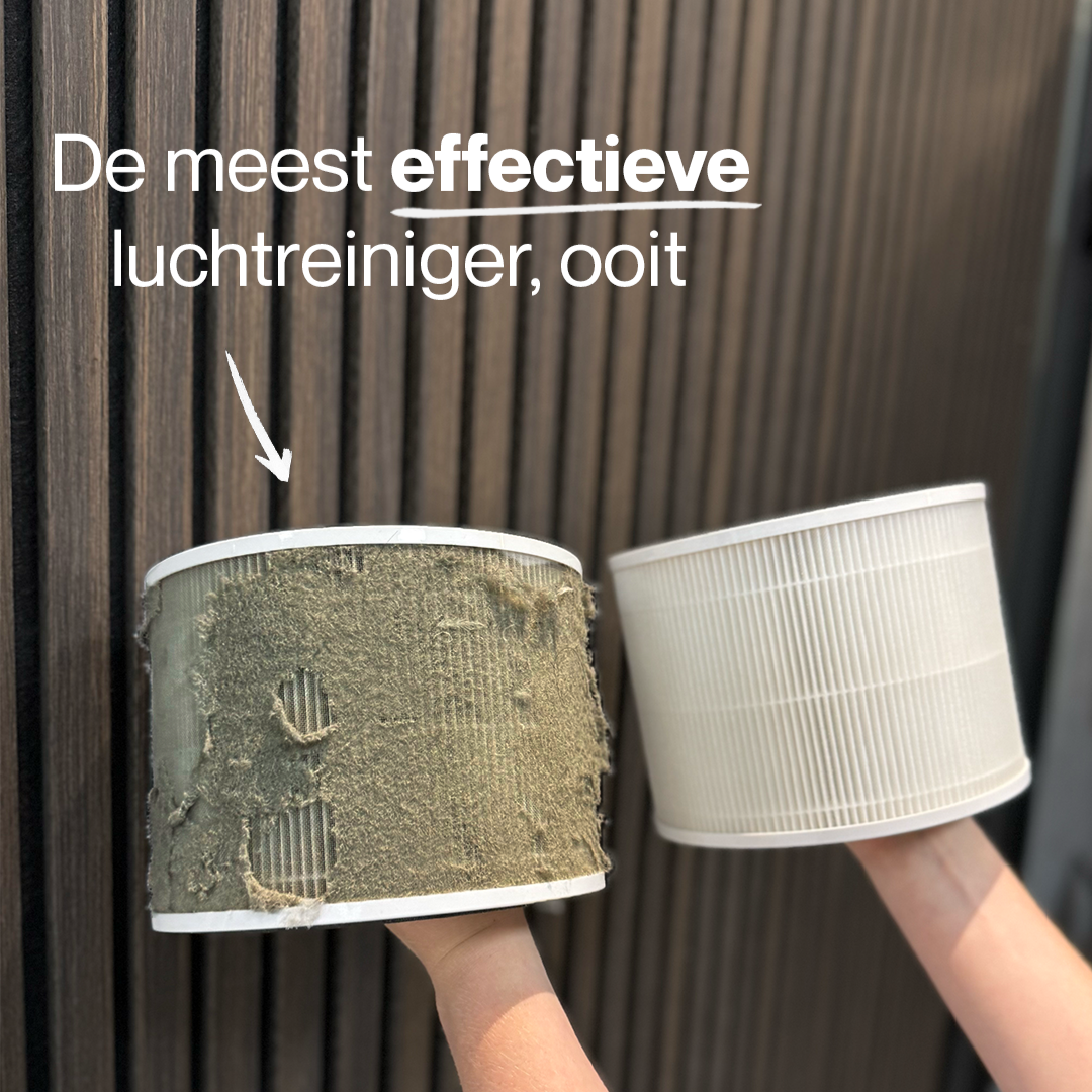 Dynter AirPure Plus PA244 luchtreiniger - overzicht van soorten luchtreinigers