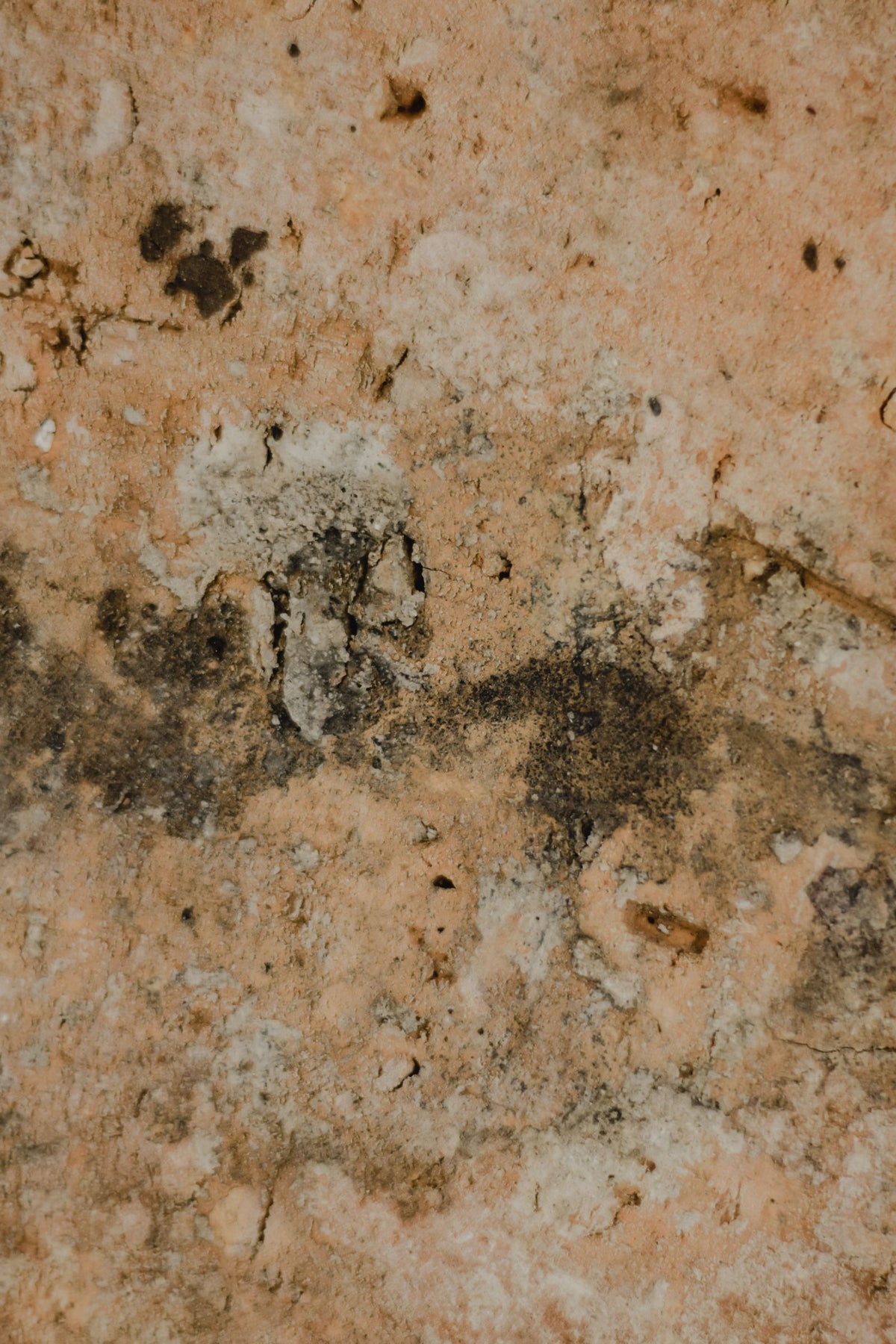 Close-up van een muur met schimmelvorming door langdurig vocht